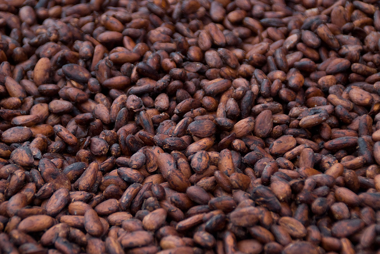 cocoa beans