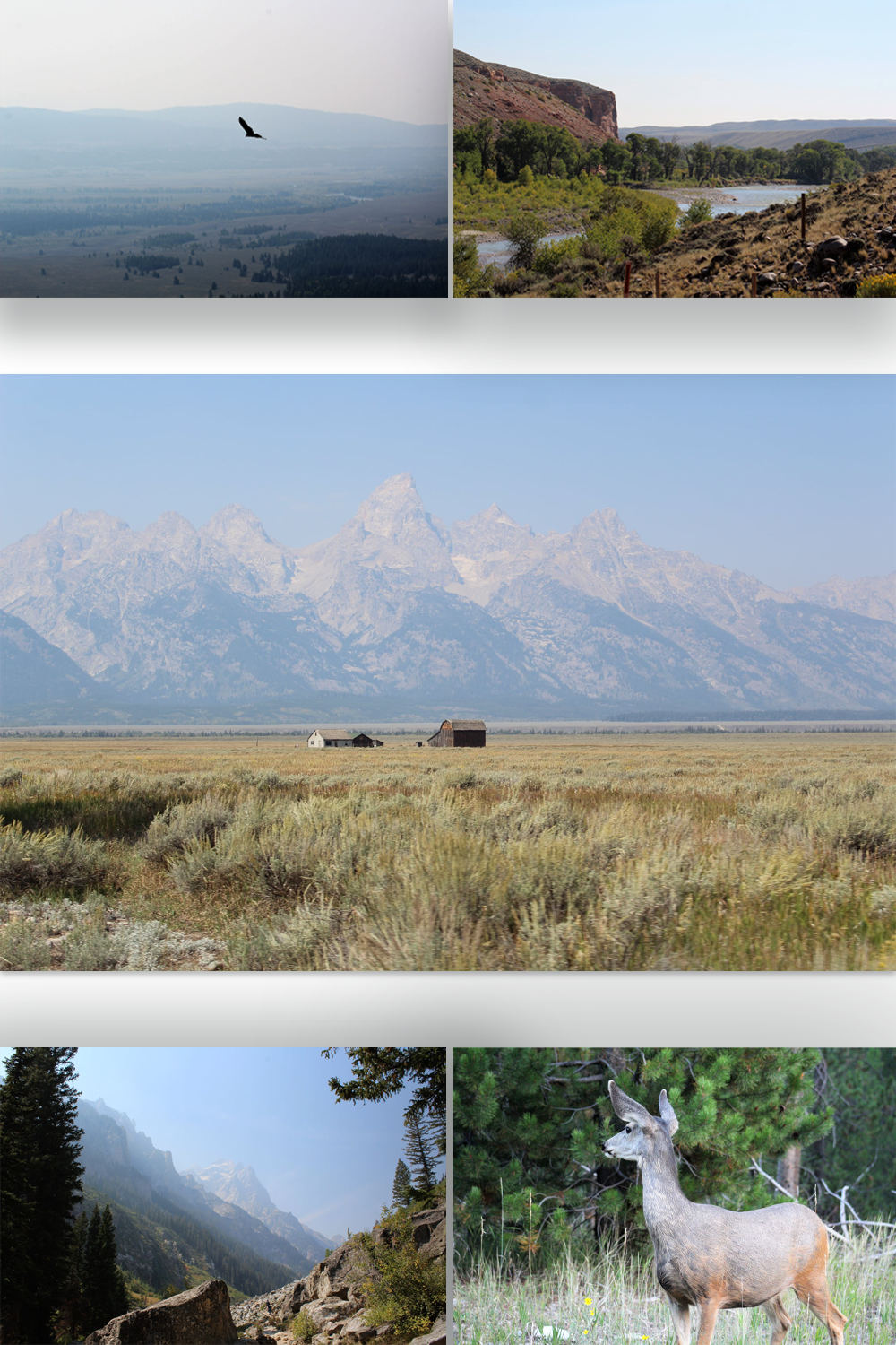 Wyoming Collage